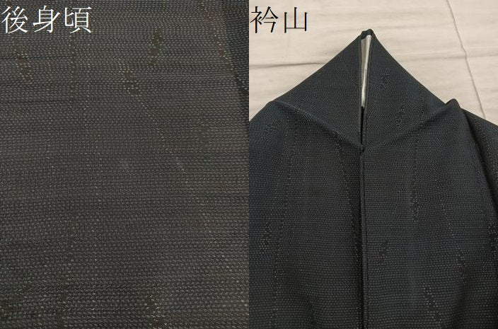 平和屋着物*夏物 本場大島紬 夏大島 草葉文 正絹 逸品 BAAX8166mz