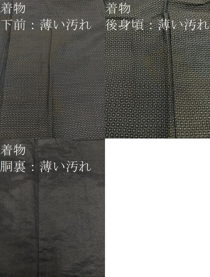 平和屋着物■男性 本場大島紬 アンサンブル 80亀甲 総詰め 正絹 逸品 BAAX8194mz