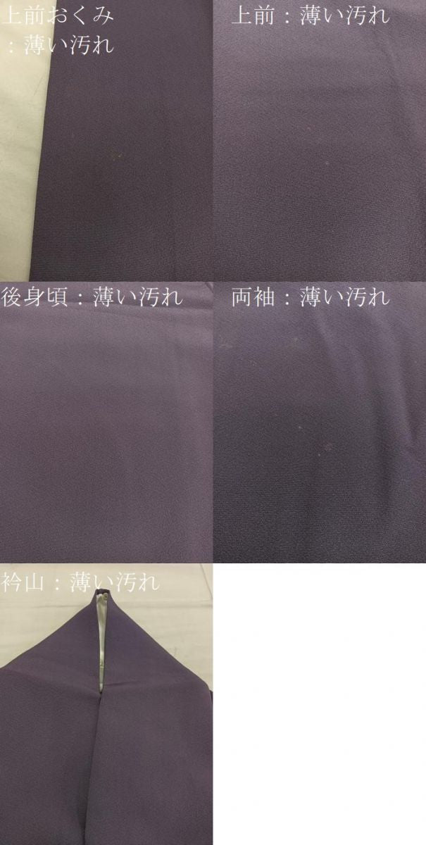平和屋着物■上質な色無地 濃色 正絹 逸品 BAAX8450mz