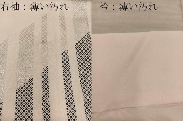 平和屋着物■訪問着 枝垂れ桜 金銀彩 正絹 逸品 BAAX8518mz