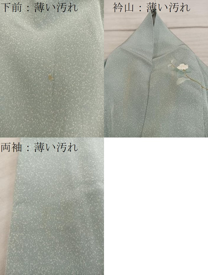 平和屋着物■訪問着 友禅 枝椿 正絹 逸品 BAAX8598mz