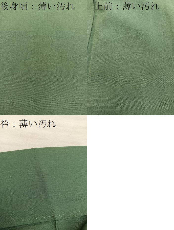 平和屋着物■色留訪問着 螺鈿 風景花文 暈し染め 金彩 正絹 逸品 BAAX8611mz