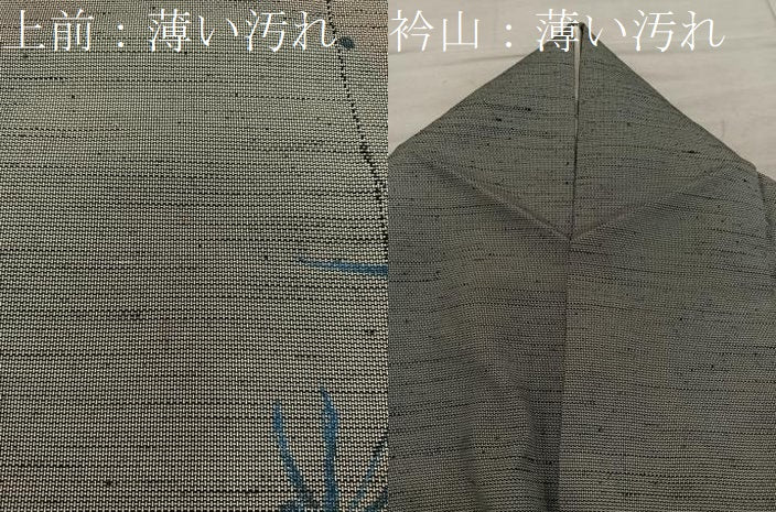 平和屋着物■上質な紬 草葉文 正絹 逸品 BAAX8761mz