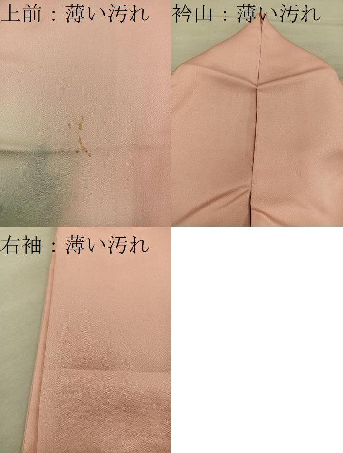 平和屋着物■訪問着 作家物 手描き 草花文 暈し染め 正絹 逸品 BAAX8789mz