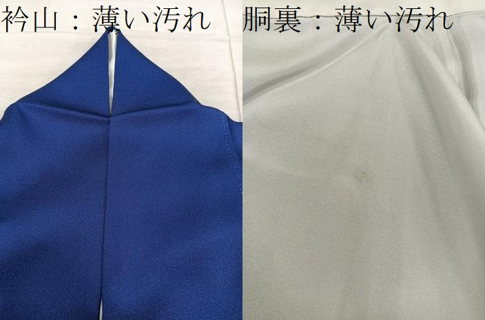 平和屋着物■訪問着 カトレア 正絹 逸品 BAAX8812mz