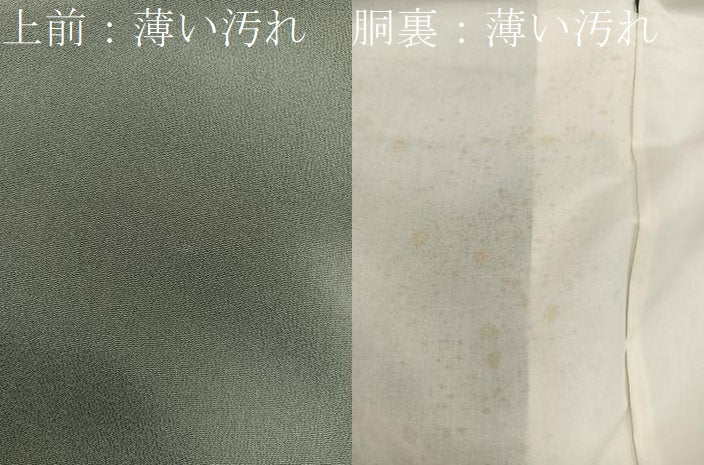 平和屋着物■豪華色留袖 流水枝葉文 正絹 逸品 BAAX8929mz