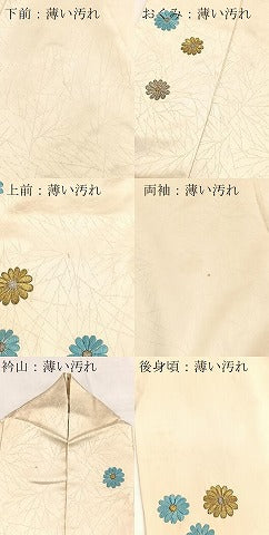 平和屋着物■訪問着 総刺繍 菊花文 金銀糸 正絹 逸品 BAAX9093yc