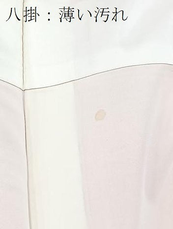 平和屋着物■上質なお召 草花文 金銀彩 正絹 逸品 BAAX9163yc