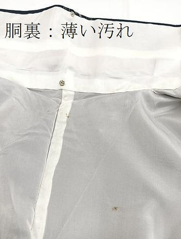 平和屋着物■上質な紬 幾何学文様 正絹 逸品 BAAX9178yc
