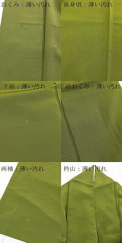 平和屋着物■服飾評論家 市田ひろみ監修 色無地 草色 正絹 逸品 BAAX9205yc
