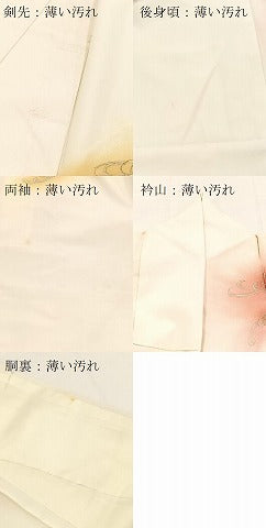 平和屋着物■訪問着 立波文 暈し染め 金彩 洗える着物 BAAX9241yc