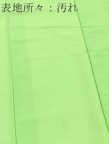 平和屋着物■訪問着 背抜き仕立て 流水枝垂れ柳文 暈し染め 金彩 洗える着物 BAAX9255yc