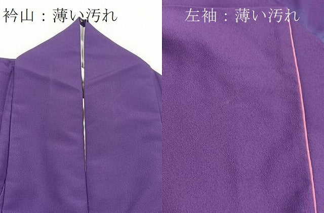 平和屋着物■訪問着 花蝶文 金銀彩 洗える着物 BAAX9274yc