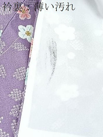 平和屋着物■小紋 草花文 洗える着物 BAAX9279yc