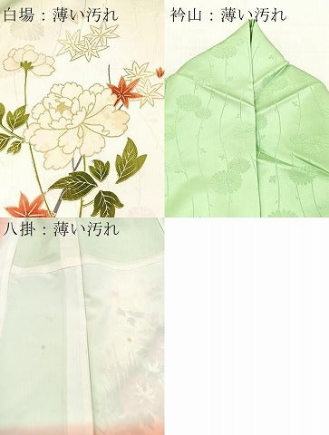 平和屋着物■訪問着 駒刺繍 孔雀花文 暈し染め 金彩 洗える着物 BAAX9329yc