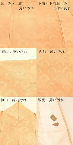 平和屋着物■小紋 扇青海波地紋 暈し染め ロング丈 洗える着物 BAAX9368yc