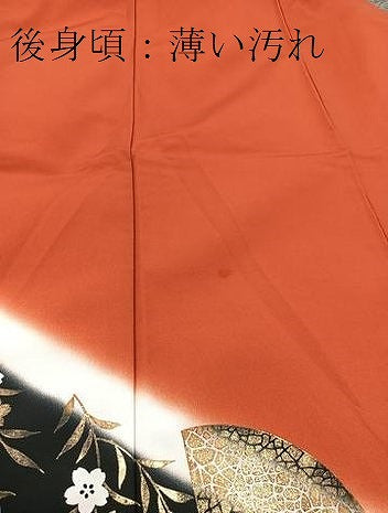 平和屋着物■訪問着 背抜き仕立て 地紙桜文 暈し染め 洗える着物 BAAX9381yc
