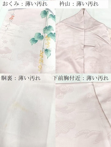 平和屋着物■訪問着 竹垣花文 暈し染め 金彩 洗える着物 BAAX9425yc