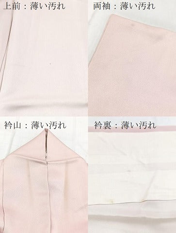 平和屋着物■訪問着 作家物 手描き 椿文 暈し染め 正絹 逸品 BAAX9523yc