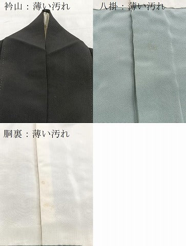 平和屋着物■訪問着 立波文 黒地 正絹 逸品 BAAX9563yc