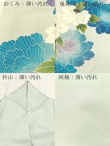 平和屋着物■訪問着 牡丹 正絹 逸品 BAAX9616yc