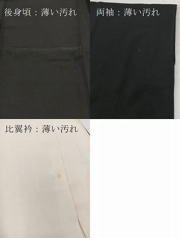 平和屋着物■豪華黒留袖 千年物語 暈し染め 金銀彩 正絹 逸品 BAAX9641yc