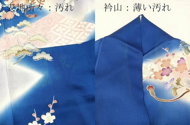 平和屋着物■豪華振袖 駒刺繍 花車花鳥文 暈し染め 金彩 正絹 逸品 BAAX9707yc