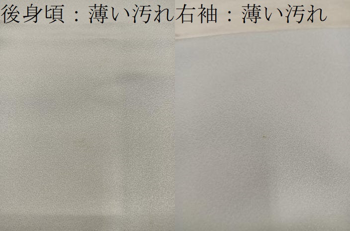 平和屋着物■豪華色留袖 寿光織 京洛名勝図絵 金糸 さが美扱い 正絹 逸品 BAAY0024mz