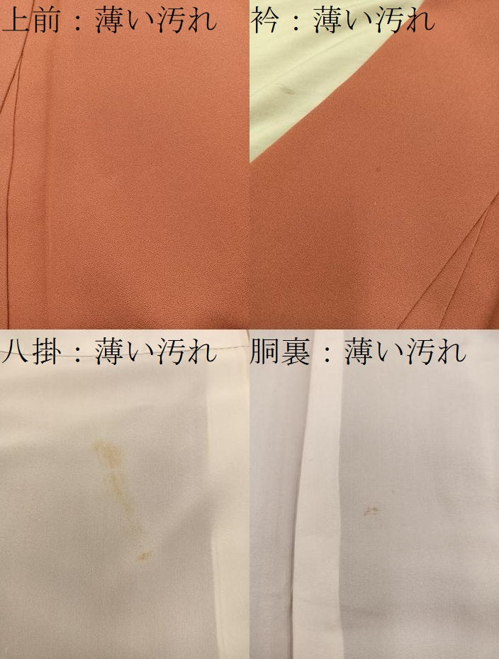 平和屋着物■色留訪問着 刺繍 文箱梅花文 暈し染め 金彩 正絹 逸品 BAAY0033mz