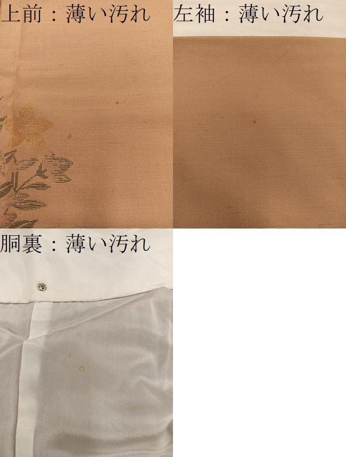 平和屋着物■訪問着 紬地 菊花文 金糸 正絹 逸品 BAAY0046mz