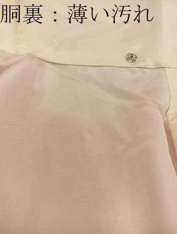 平和屋着物■上質な色無地 草花地紋 東雲色 正絹 逸品 BAAY0208mz