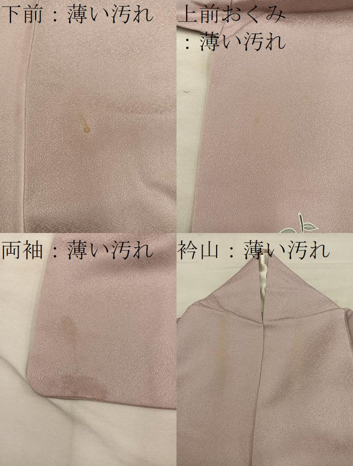 平和屋着物■訪問着 友禅 花鳥文 正絹 逸品 BAAY0398mz