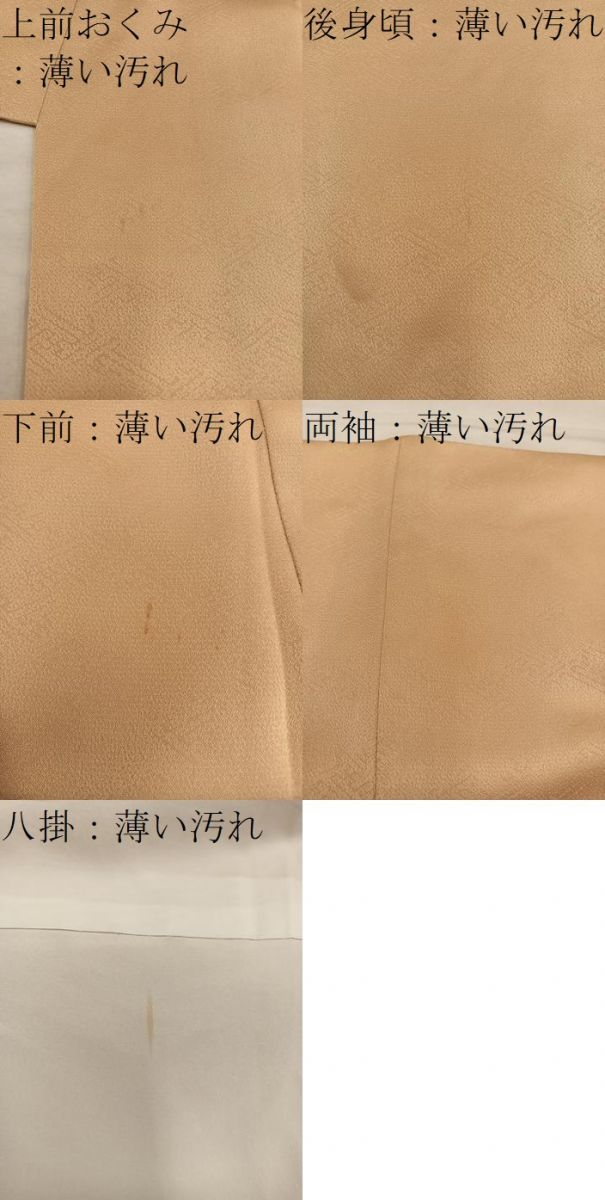 平和屋着物■訪問着 枝花文 暈し染め 正絹 逸品 BAAY0440mz