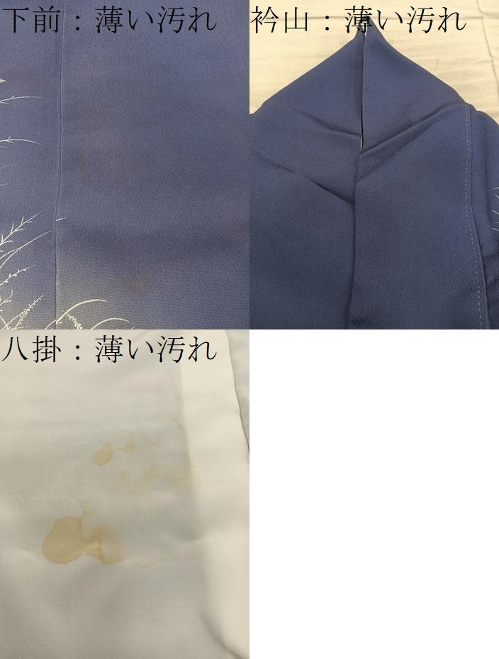 平和屋着物■訪問着 作家物 風景花文 暈し染め 正絹 逸品 BAAY0661mz