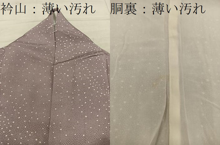 平和屋着物■江戸小紋 正絹 箔散らし 逸品 BAAY0668mz