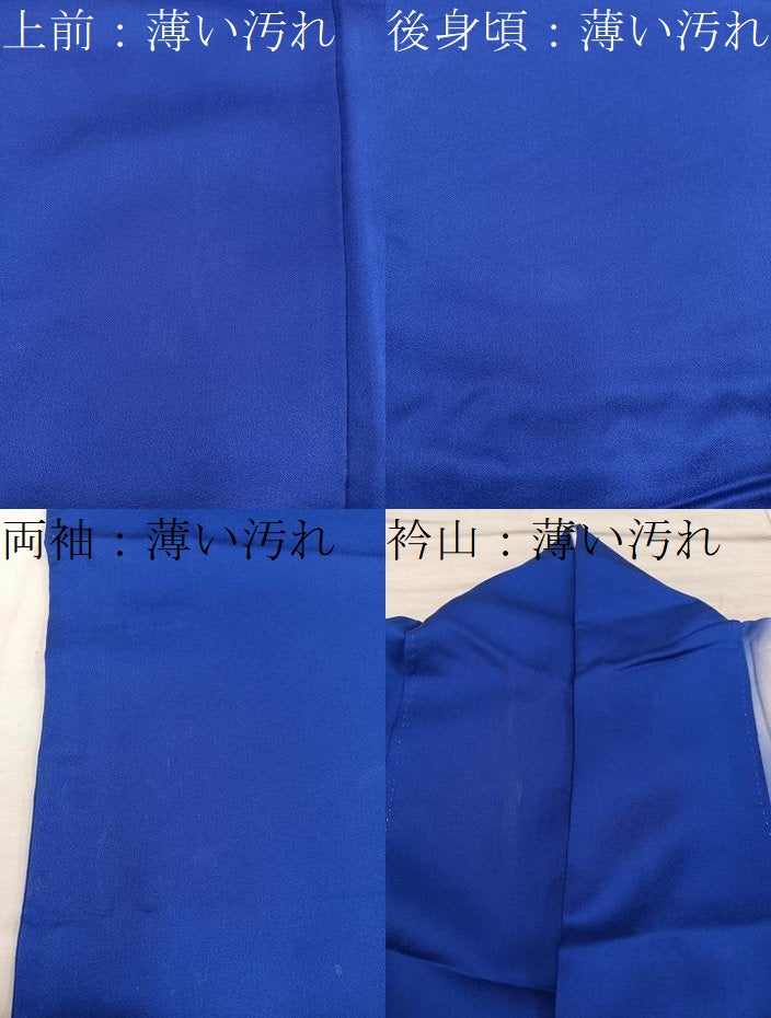平和屋着物■訪問着 友禅 亀甲菊花文 暈し染め 正絹 逸品 BAAY0670mz