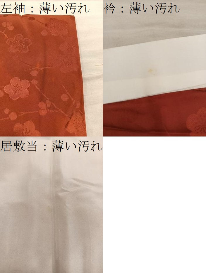 平和屋着物■長襦袢 無双仕立て 枝梅文 金彩 正絹 逸品 BAAY0690mz