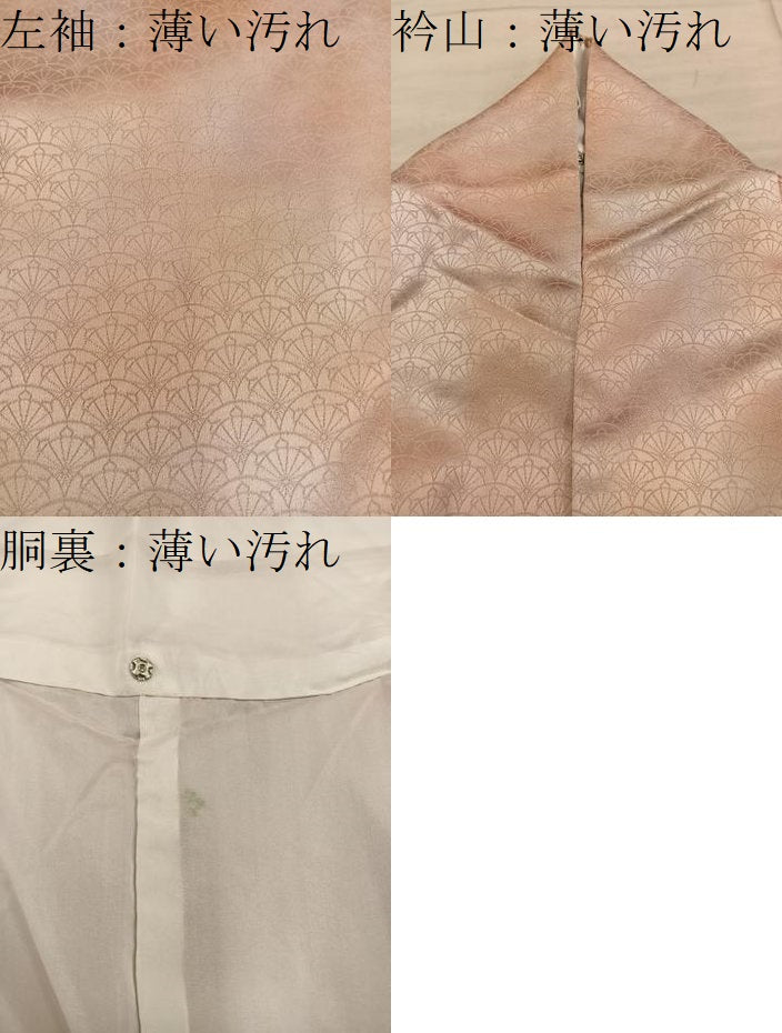 平和屋着物■上質な小紋 青海波地紋 暈し染め 正絹 逸品 BAAY0735mz