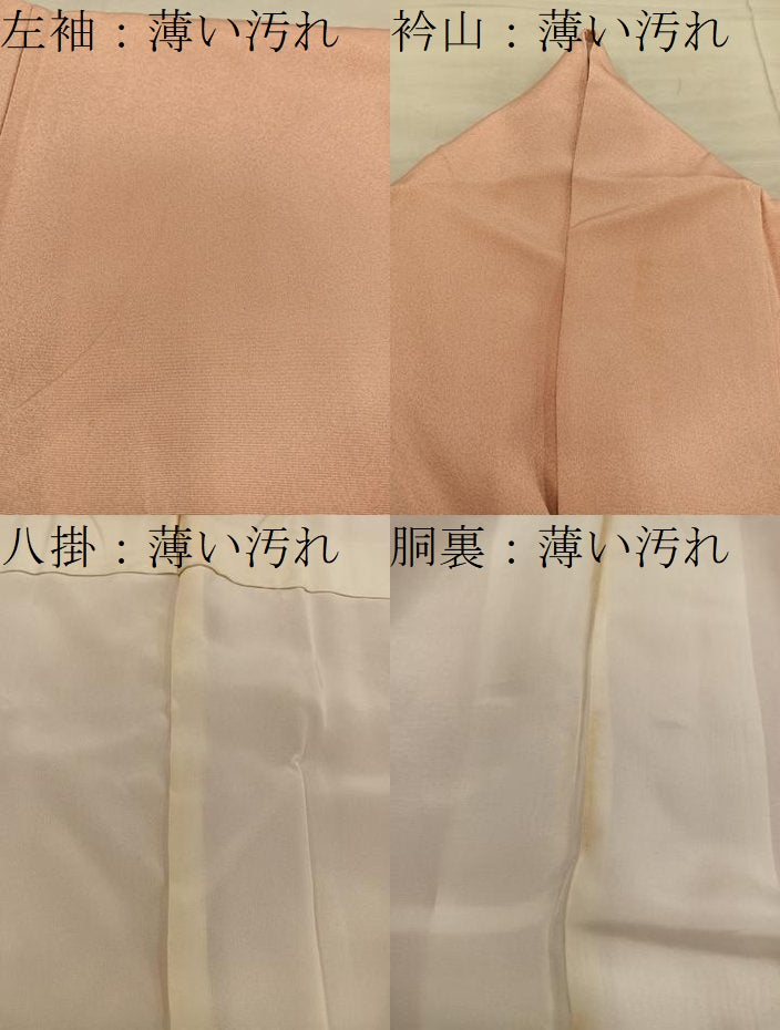 平和屋着物■訪問着 刺繍 枝花文 暈し染め 金彩 正絹 逸品 BAAY0744mz