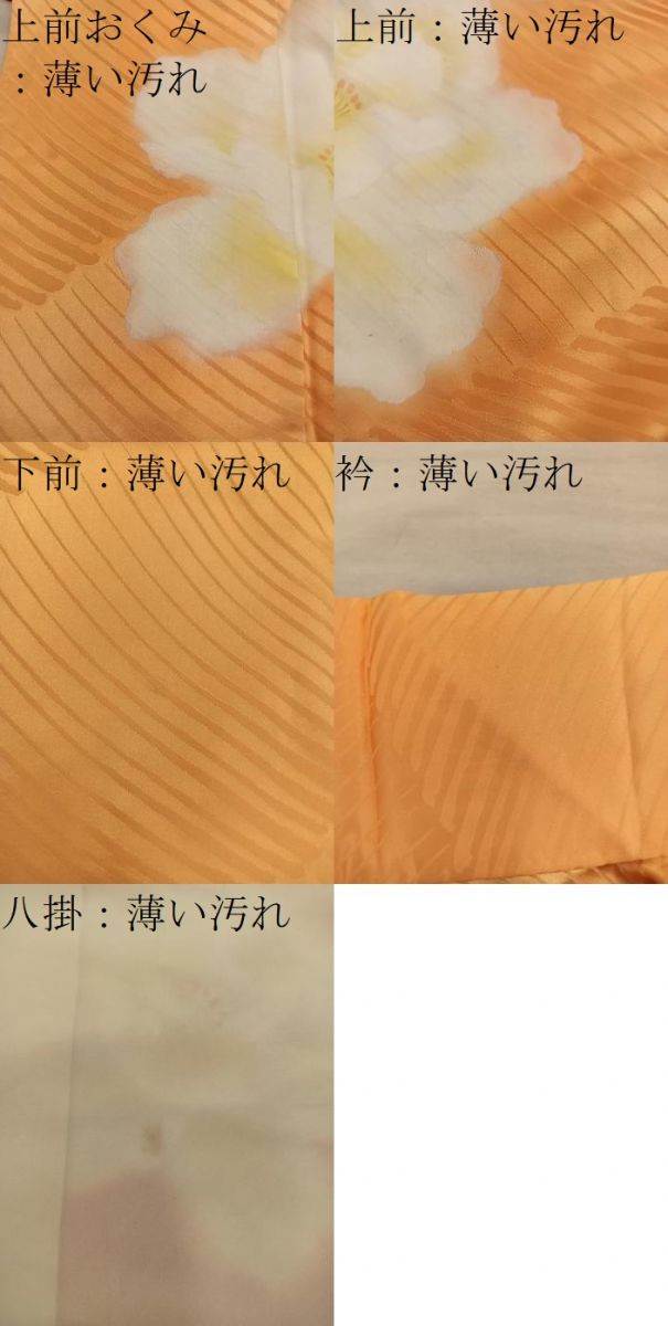平和屋着物■訪問着 牡丹 正絹 逸品 BAAY0756mz