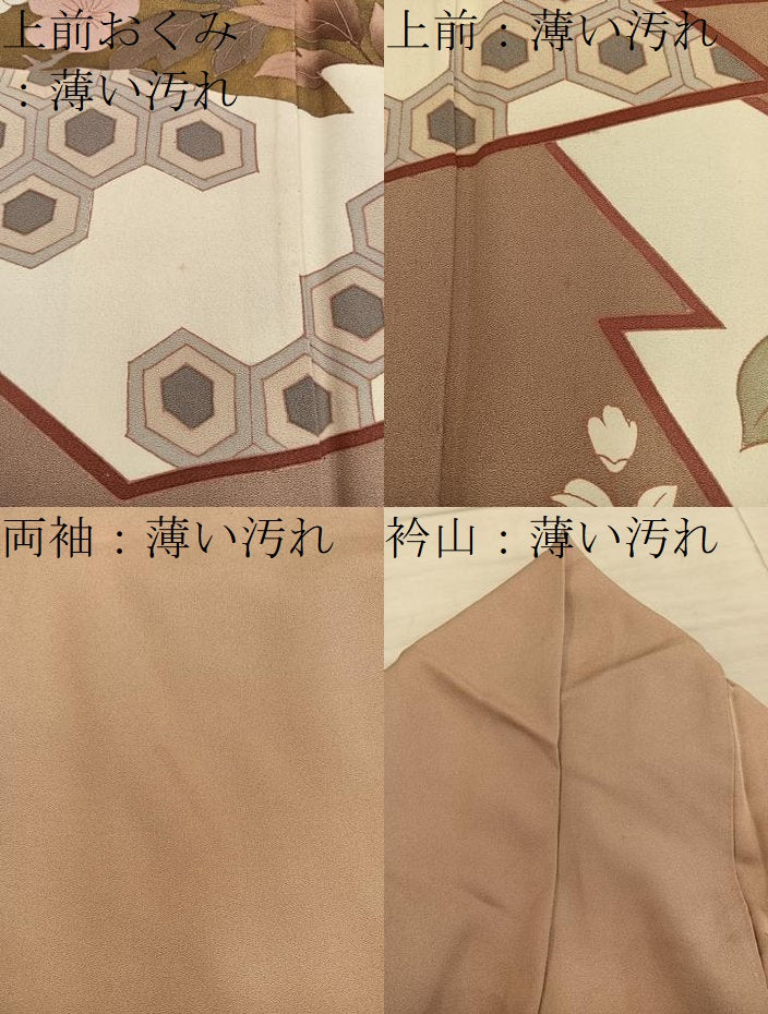 平和屋着物■色留訪問着 刺繍 松皮菱牡丹花文 金彩 正絹 逸品 BAAY0785mz