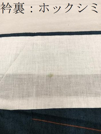 平和屋着物■上質な紬 背抜き仕立て 間道 正絹 逸品 BAAY0858mz