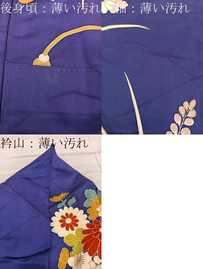 平和屋着物■豪華振袖 駒刺繍 薔薇 船 金彩 正絹 逸品 BAAY0861mz
