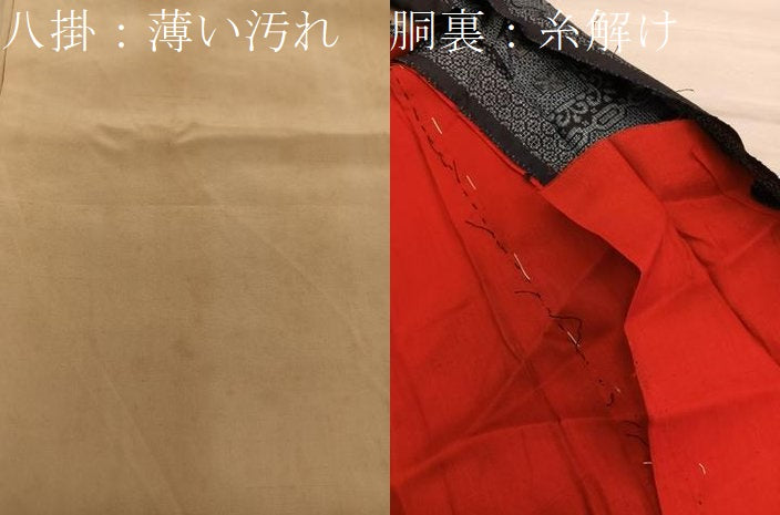 平和屋着物■アンティーク大島 本場大島紬 菊唐草文 割り込み絣 正絹 逸品 BAAY0876mz