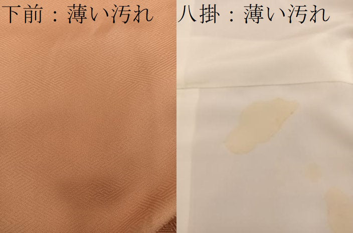 平和屋着物■訪問着 枝花文 暈し染め 金彩 正絹 逸品 BAAY0883mz