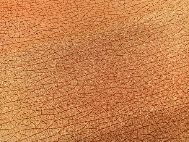 平和屋着物■上質な小紋 幾何学文様 氷割れ文 暈し染め 正絹 逸品 BAAY0892mz