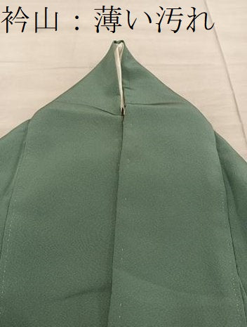 平和屋着物■豪華色留袖 群鶴枝花文 金彩 正絹 逸品 BAAY0920mz