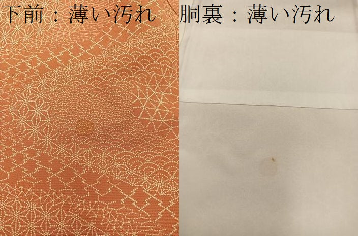 平和屋着物■枝花文 訪問着 流水文 正絹 逸品 BAAY0937mz