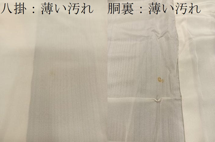 平和屋着物■上質な小紋 間道 正絹 逸品 BAAY0944mz