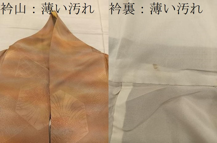 平和屋着物■上質な小紋 亀甲花地紋 暈し染め 正絹 逸品 BAAY0946mz